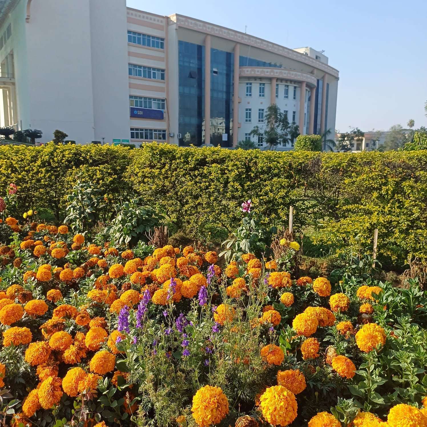 Academic area