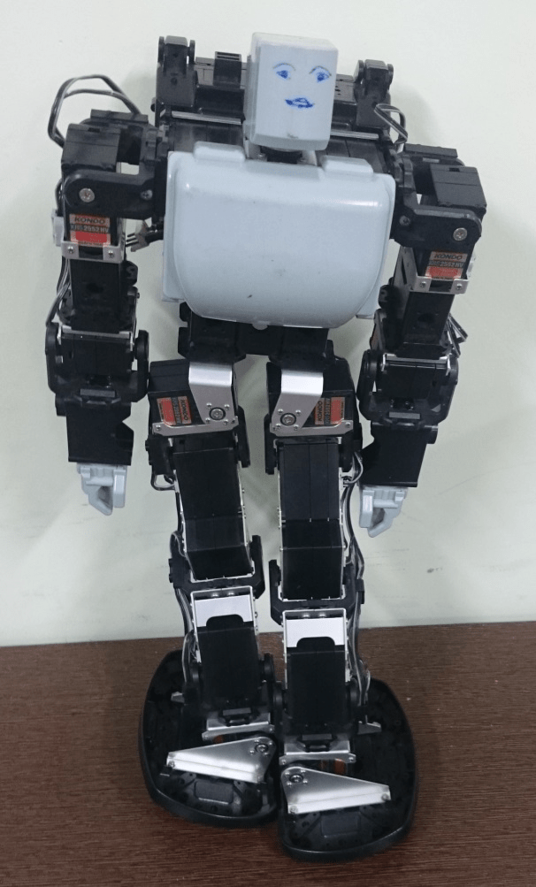Humanoid Robot