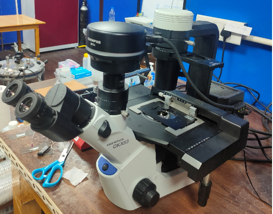 Inverted Flourescence Microscope with DP74 coloured camera